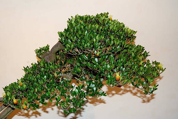 DSC_7349.jpg DSC_7349.jpg