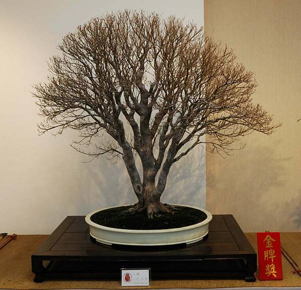 DSC_7350.jpg DSC_7350.jpg