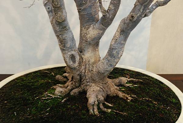 DSC_7352.jpg DSC_7352.jpg