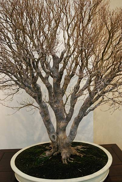 DSC_7353.jpg DSC_7353.jpg