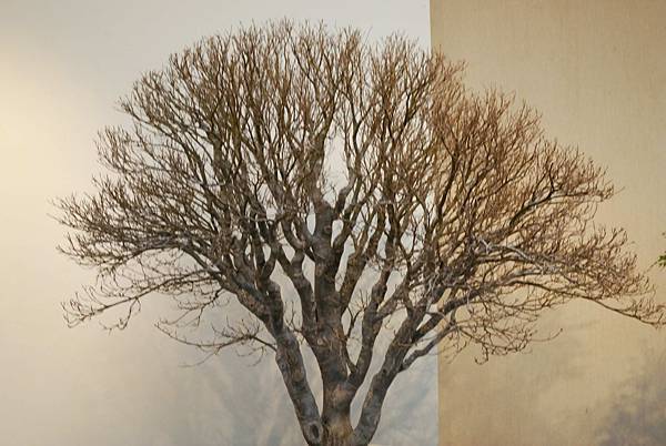 DSC_7354.jpg DSC_7354.jpg