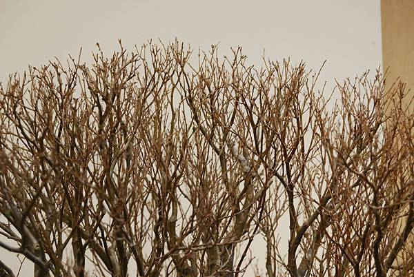 DSC_7355.jpg DSC_7355.jpg