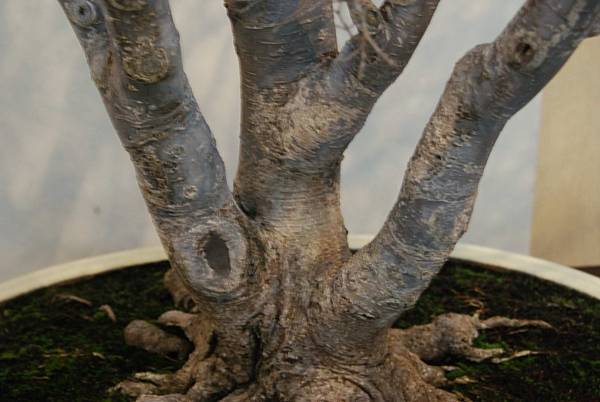 DSC_7356.jpg DSC_7356.jpg