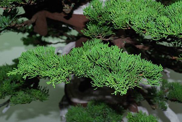 DSC_7364.jpg DSC_7364.jpg