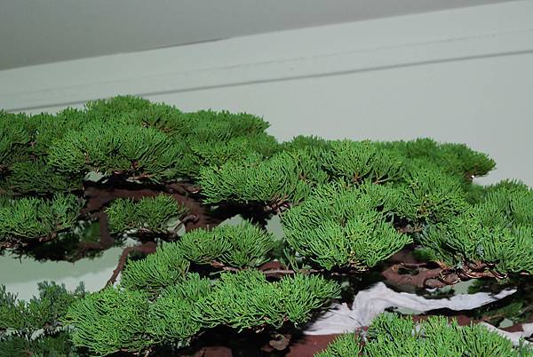 DSC_7365.jpg DSC_7365.jpg