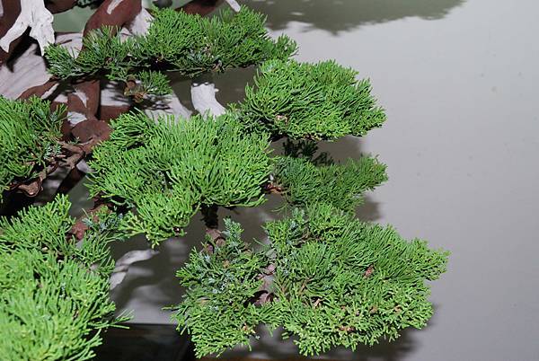 DSC_7366.jpg DSC_7366.jpg