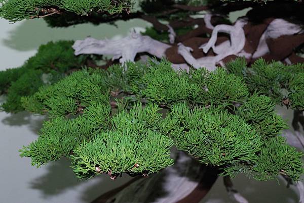 DSC_7368.jpg DSC_7368.jpg