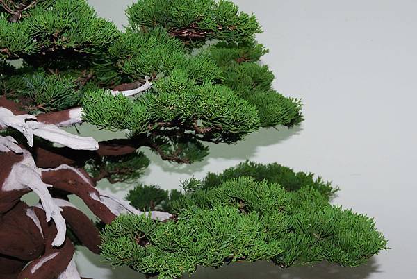 DSC_7367.jpg DSC_7367.jpg