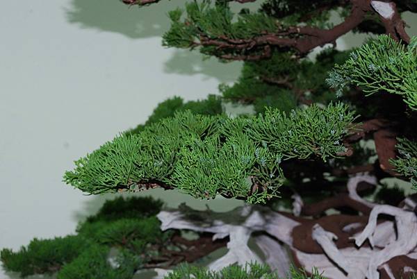 DSC_7369.jpg DSC_7369.jpg