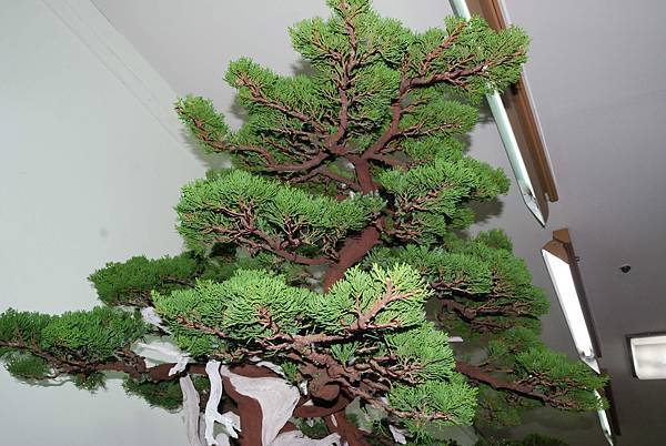 DSC_7371.jpg DSC_7371.jpg