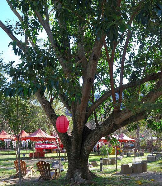 DSC_5902.jpg DSC_5902.jpg