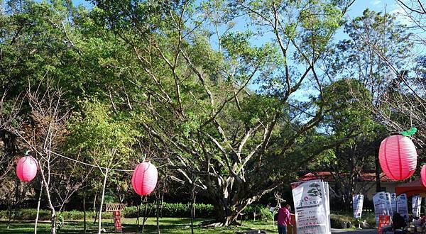 DSC_5903.jpg DSC_5903.jpg