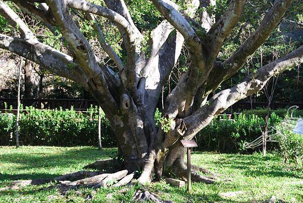 DSC_5904.jpg DSC_5904.jpg