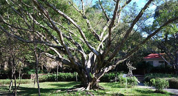 DSC_5905.jpg DSC_5905.jpg