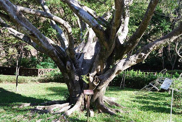 DSC_5906.jpg DSC_5906.jpg