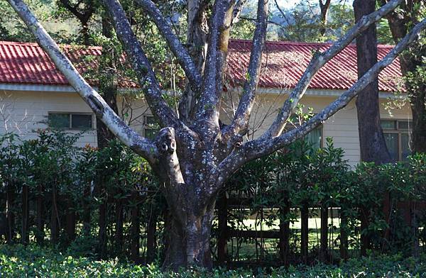 DSC_5907.jpg DSC_5907.jpg