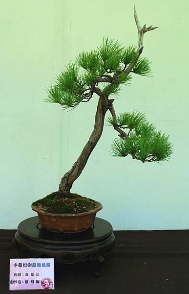 DSC_5913.jpg DSC_5913.jpg