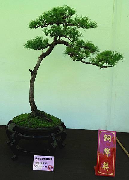 DSC_5915.jpg DSC_5915.jpg