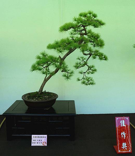 DSC_5919.jpg DSC_5919.jpg