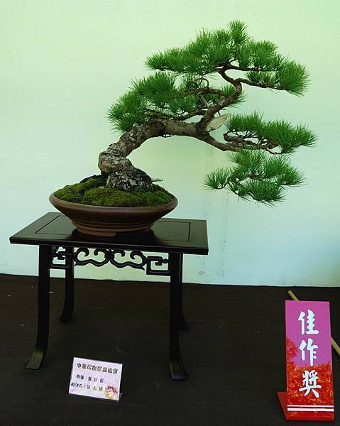 DSC_5917.jpg DSC_5917.jpg