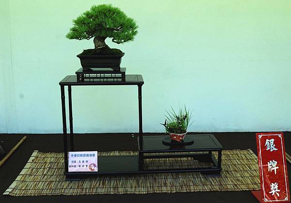 DSC_5923.jpg DSC_5923.jpg