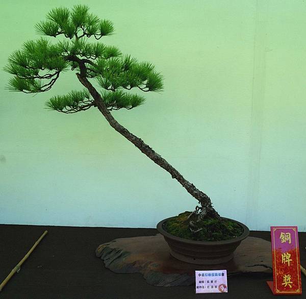 DSC_5921.jpg DSC_5921.jpg