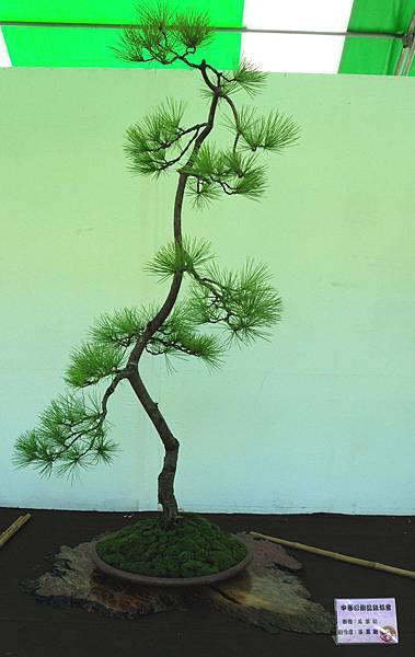 DSC_5925.jpg DSC_5925.jpg