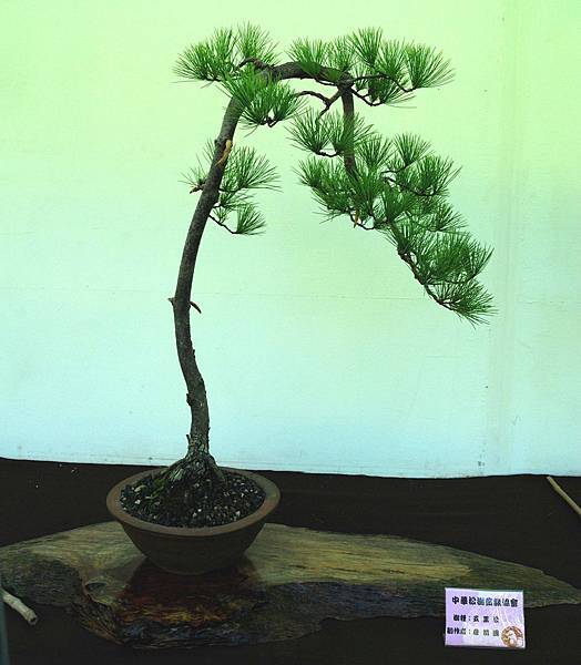 DSC_5927.jpg DSC_5927.jpg