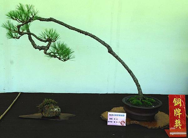 DSC_5929.jpg DSC_5929.jpg