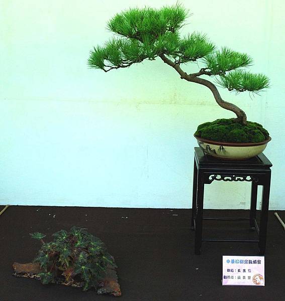 DSC_5933.jpg DSC_5933.jpg