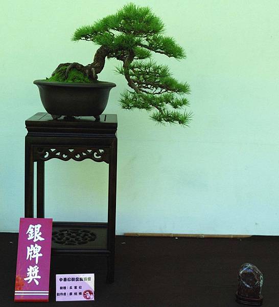 DSC_5935.jpg DSC_5935.jpg