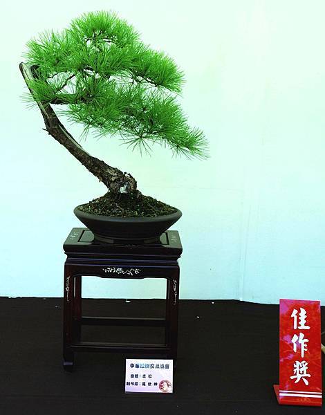 DSC_5939.jpg DSC_5939.jpg