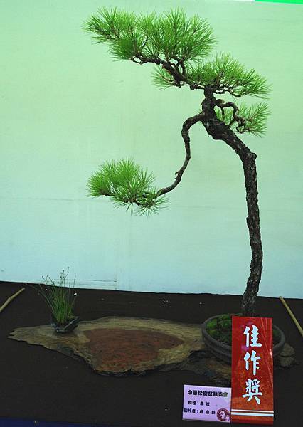 DSC_5937.jpg DSC_5937.jpg