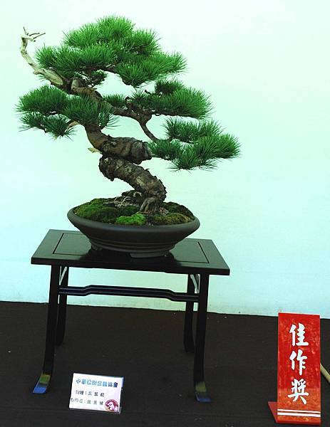 DSC_5941.jpg DSC_5941.jpg