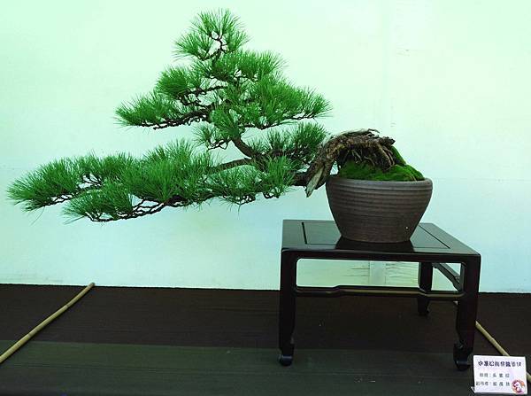 DSC_5945.jpg DSC_5945.jpg