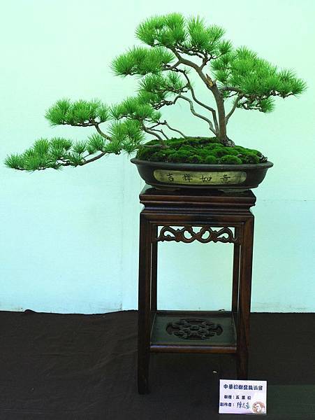 DSC_5943.jpg DSC_5943.jpg