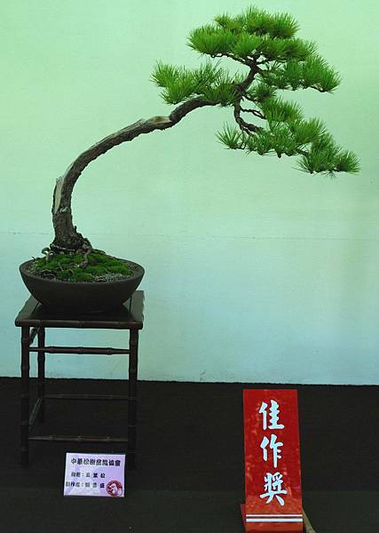 DSC_5947.jpg DSC_5947.jpg