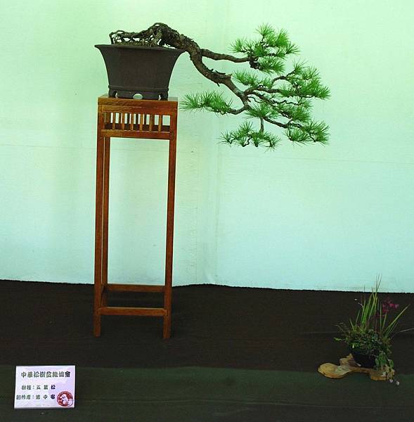 DSC_5949.jpg DSC_5949.jpg