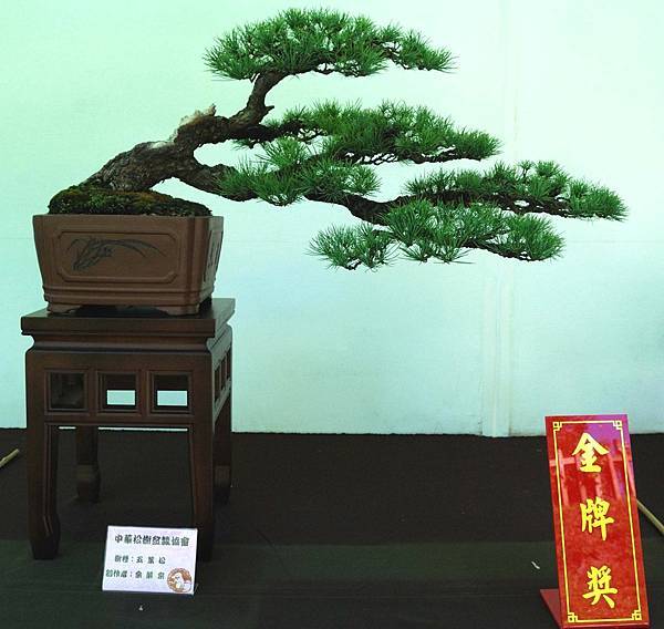 DSC_5951.jpg DSC_5951.jpg