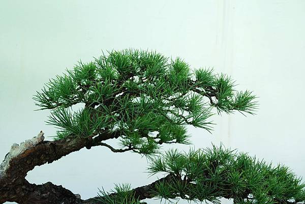 DSC_5958.jpg DSC_5958.jpg