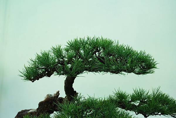 DSC_5960.jpg DSC_5960.jpg