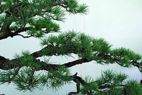 DSC_5959.jpg DSC_5959.jpg