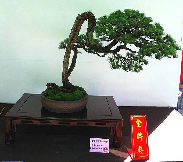 DSC_5963.jpg DSC_5963.jpg