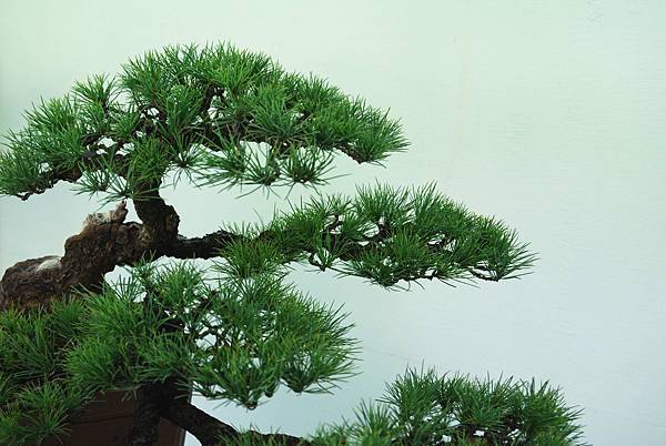 DSC_5962.jpg DSC_5962.jpg