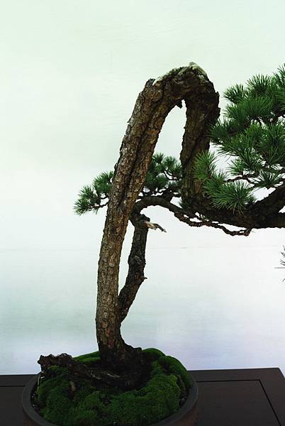 DSC_5967.jpg DSC_5967.jpg