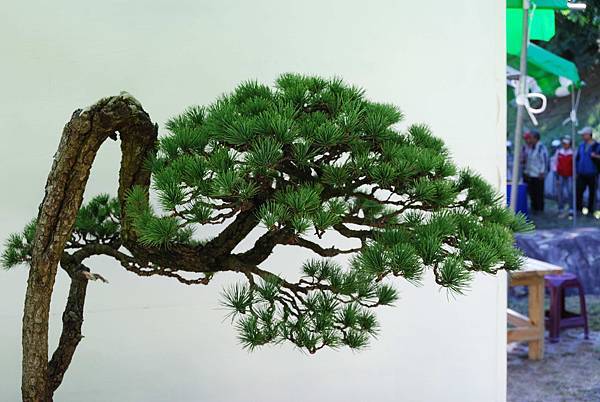 DSC_5968.jpg DSC_5968.jpg