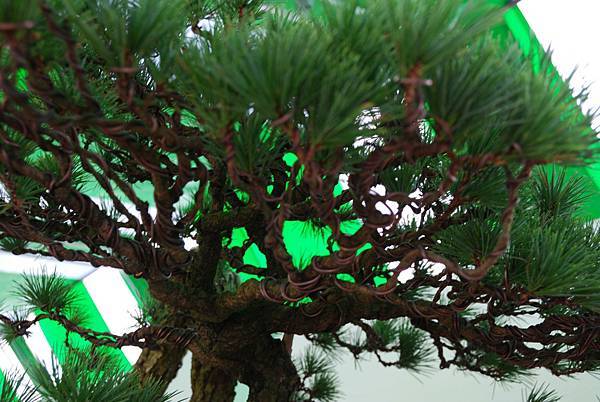 DSC_5970.jpg DSC_5970.jpg