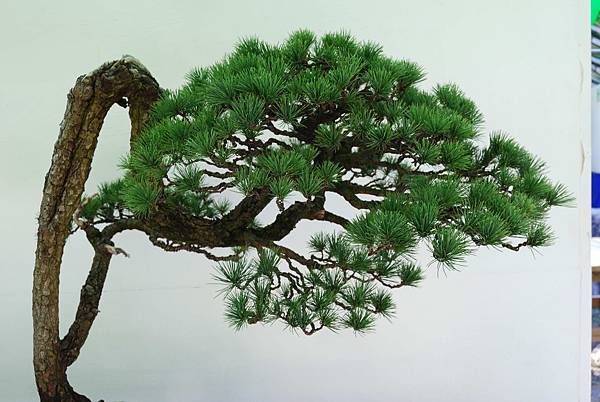 DSC_5969.jpg DSC_5969.jpg