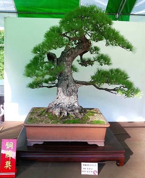 DSC_5972.jpg DSC_5972.jpg