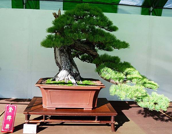 DSC_5978.jpg DSC_5978.jpg